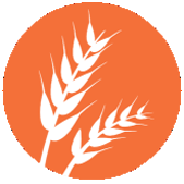 GLUTEN